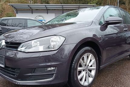 VW Golf 183.000 km 9.600 &euro; Lahr-Langenwinkel 77933