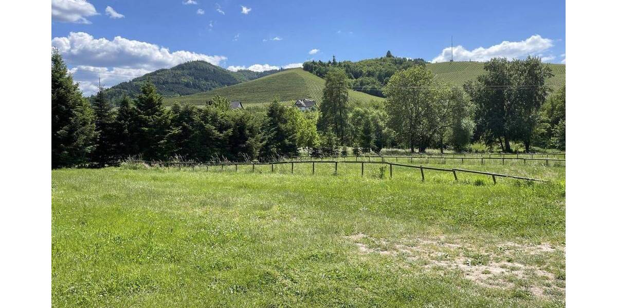 Grundstück Durbach - 550.000&euro; | Angebot:25939461