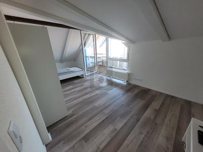 MODERN SANIERT MIT GEMÜTLICHEM KAMINOFEN - Etagenwohnung Offenburg Elgersweier | Angebot:26608988