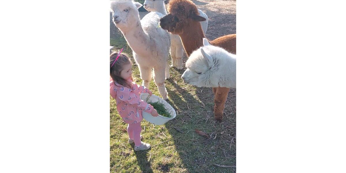 Gewerbeobjekt Neuried - 25&euro; | Angebot:21546900