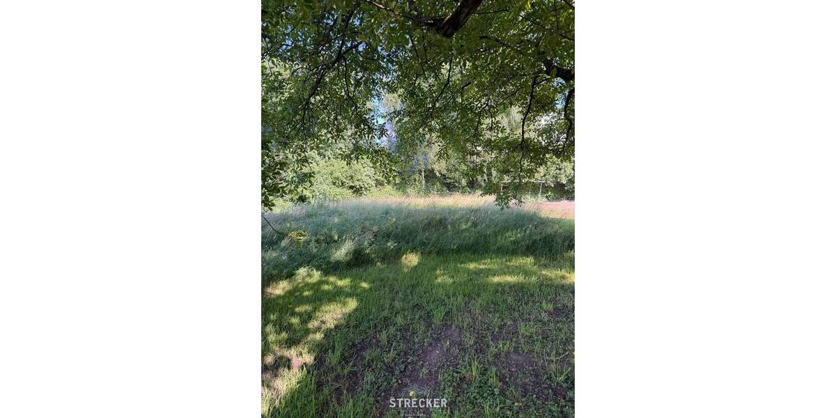 Gewerbeobjekt Renchen Stadtgebiet - 2.900.000&euro; | Angebot:26733519