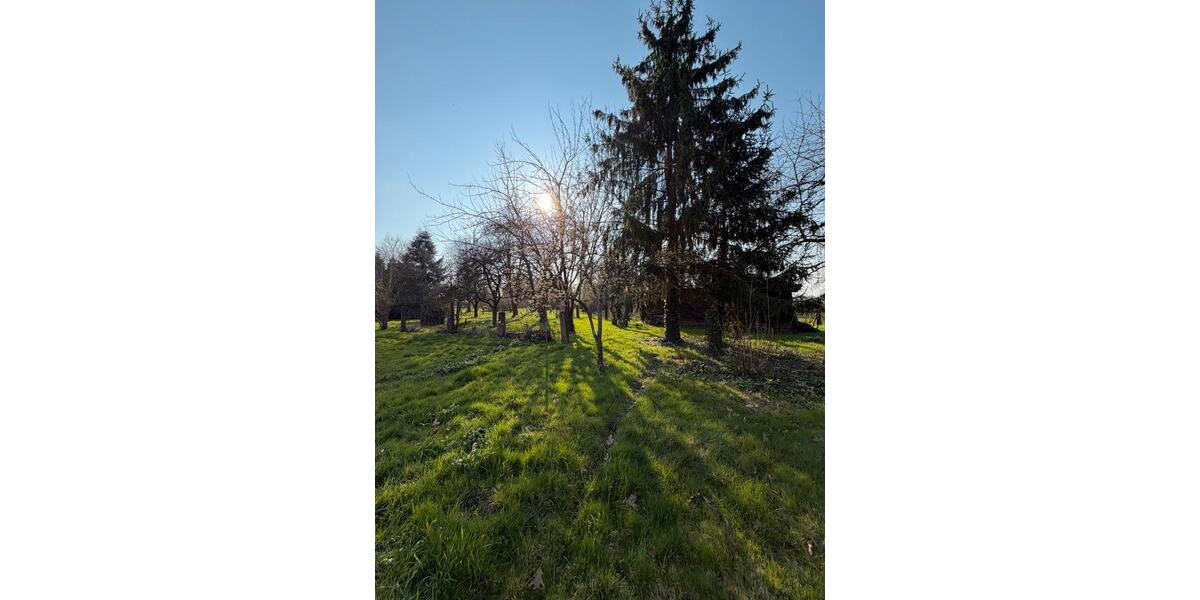 Einfamilienhaus Willstätt - 7 Zimmer, 175 m&sup2;, 470.000&euro; | Angebot:26181205