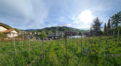 AUSSICHT & LEBENSQUALITÄT - Grundstück Bühlertal | Angebot:27265766