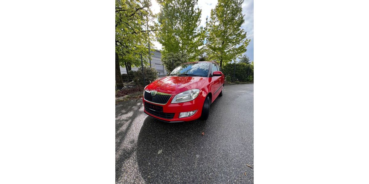 Skoda Fabia 216.387 km 2.500 &euro; Achern 77855
