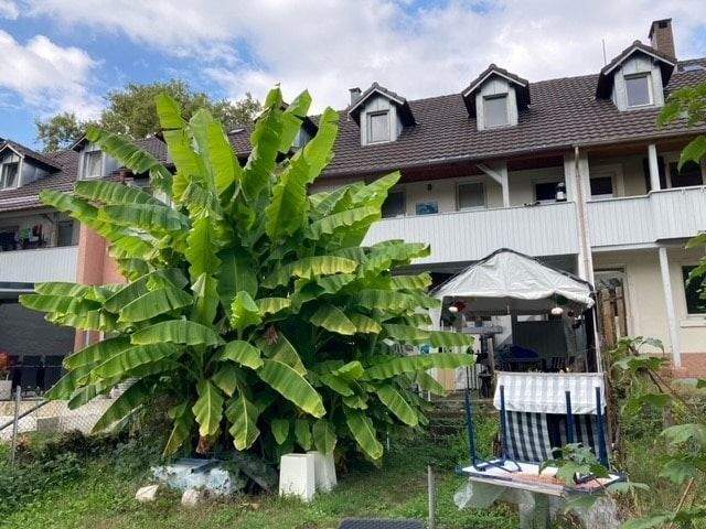 Reihenmittelhaus Lahr - 6 Zimmer, 152 m&sup2;, 261.000&euro; | Angebot:25800997