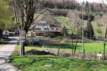Haus Berghaupten - 880.000&euro; | Angebot:26991648