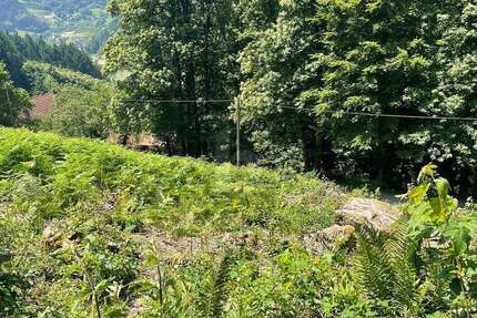 Grundstück Ottenhöfen im Schwarzwald - 135.000&euro; | Angebot:26006687