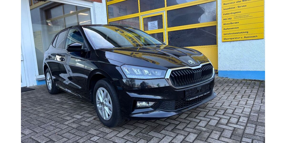Skoda Fabia 58.000 km 16.080 &euro; Lahr 77933