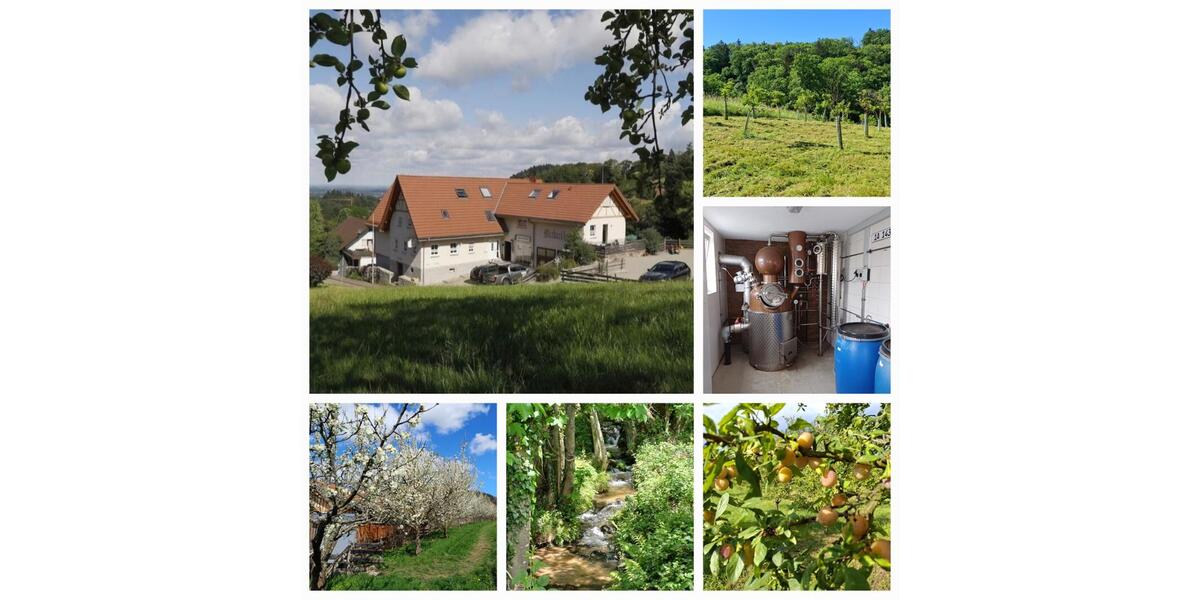 Einfamilienhaus Bühl - 7 Zimmer, 200 m&sup2;, 645.000&euro; | Angebot:26709209