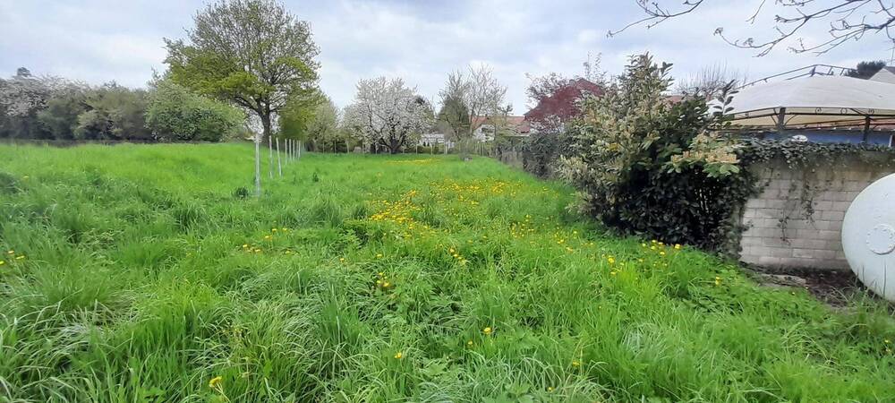 Mehrfamilienhaus, Wohnhaus Offenburg Griesheim - 1 Zimmer, 447 m&sup2;, 890.000&euro; | Angebot:25731612