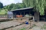 Einfamilienhaus Berghaupten - 880.000&euro; | Angebot:26991648