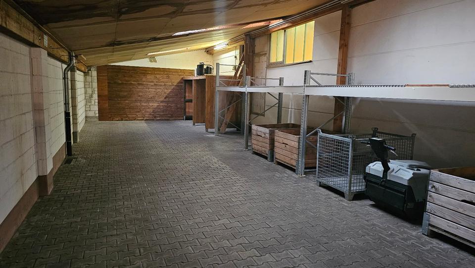 Gewerbeobjekt Offenburg Elgersweier - 2.065&euro; | Angebot:23353865