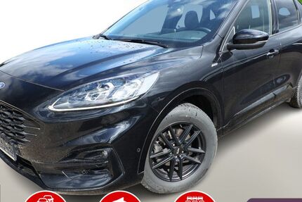 Ford Kuga 79.100 km 19.788 &euro; Kehl 77694