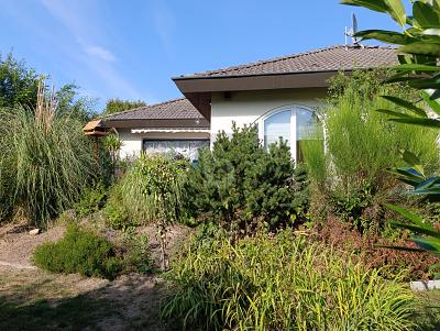 HELLER BUNGALOW MIT GARTENOASE & WINTERGARTEN - Einfamilienhaus Willstätt | Angebot:27281356
