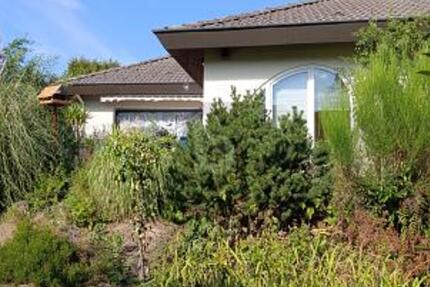 HELLER BUNGALOW MIT GARTENOASE & WINTERGARTEN - Haus Willstätt | Angebot:27281356