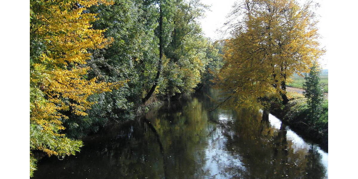 Gewerbeobjekt Offenburg Südstadt - 1.200.000&euro; | Angebot:25910526