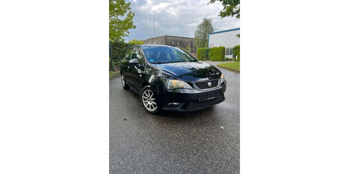 Seat Ibiza 173.809 km 3.450 &euro; Achern 77855