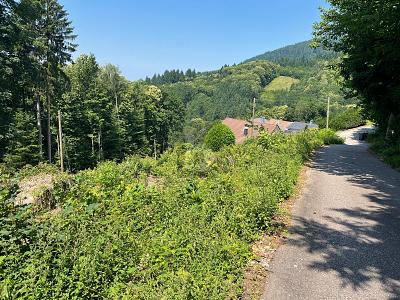 ERSCHAFFEN SIE IHREN WOHNTRAUM IM GRÜNEN - Grundstück Ottenhöfen im Schwarzwald | Angebot:26981928